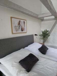 Charming Scandinavian City Loft for Two