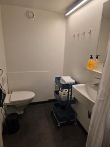 Charming Scandinavian City Loft for Two