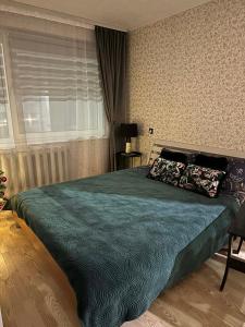 Vieno kambario apartamentai Telšiuose