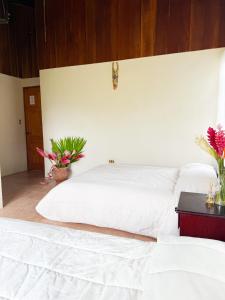 Selva Partners La Fortuna