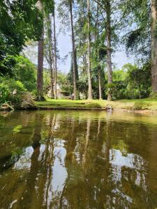 Cabana da Pedra para Casal
