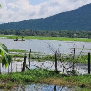 Lake View - Gayan Rest