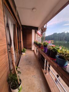 Pranavan Homestay
