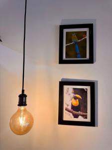 Cercano al Aeropuerto y nuevo