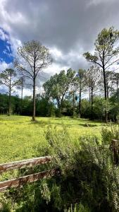 Casa de campo rodeada de naturaleza con pileta