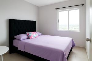 Exceptional View 2005