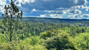 Casa de campo en la naturaleza con pileta