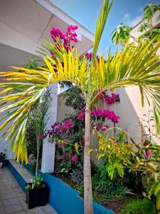 Suite privada con jardín cerca del mar