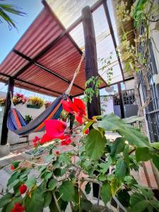 Suite privada con jardín cerca del mar