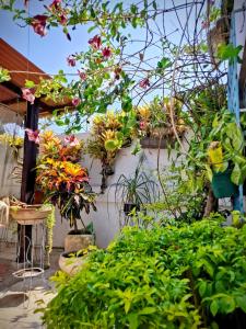 Suite privada con jardín cerca del mar