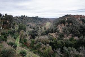 La loggia del pappagallo