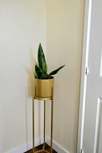 Modern House with Stunning View Parking and Netflix