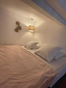 Superbe Duplex au pied du tram et de la gare