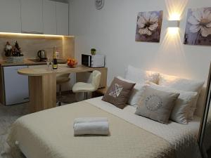 Apartment Kiev Studio with city view