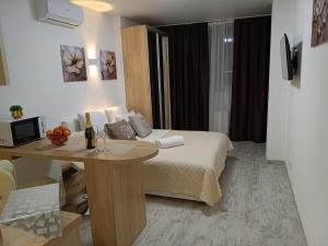 Apartment Kiev Studio with city view