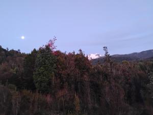 Cabaña colonia río sur