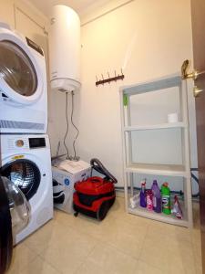 3 Rooms Apartment next to a Ski lift