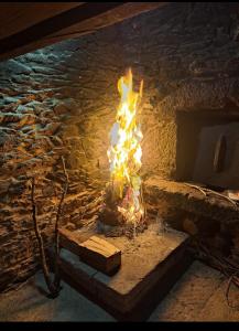 Casa Milia Arzúa - Transporte gratuíto desde la ciudad o conexión directa a pie desde el Camino