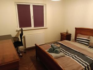 Spital 3 camere Piață 7 Nov