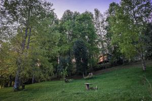 Casa en el Bosque Futrono