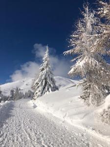 Apartment Gletscher & Fluß