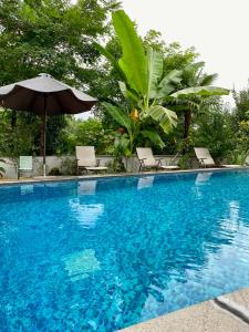 Guest House Botanical Paradise