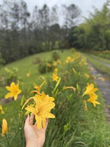 La Escondida, con acceso al lago