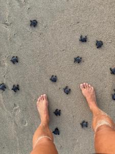 Luxury open Loft in Villa close to secluded beaches La Boquilla y playa del Muerto