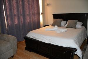 Bright urban apartment