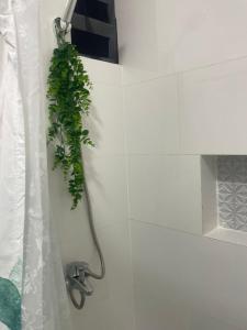 Mayra House habitación independiente cerca del aeropuerto las Américas TAXI DISPONIBLE