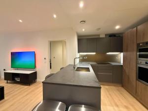 Penthouse 2 Bed 2 Bath 360 Balcony Rooftop View of London River Thames - LuxuryLondonStays