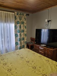 Departamento Mar y Viento