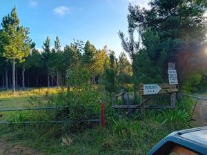 Tannenhof Camping Ground