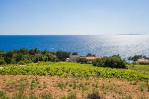 Family friendly seaside apartments Dingac - Borak, Peljesac - 18065