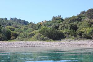 Secluded fishermans cottage Cove Studencic, Losinj - 3263