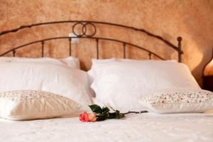 Luxury villa with a swimming pool Trget, Rasa - 7247