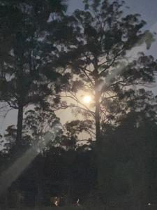 Soulhaven at Bentley