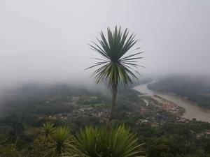 Phanoy Viewpoint camping