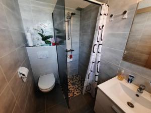 Maison rénovée proche plage, terrasse, animaux acceptés - FR-1-194-360