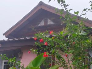 Ing Doi Guest House