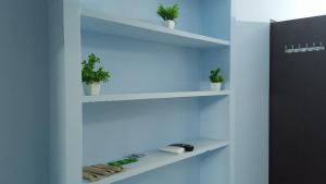 Urban white villa homestay