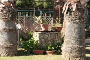 Verdemare Sardegna Uno img70