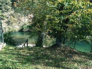 Camping Aigües Braves