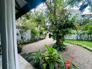 Diamond Home Stay