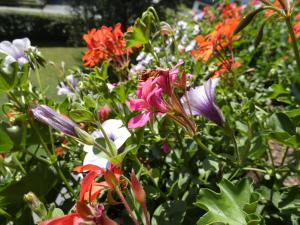 Familie Foidl Bairerbauer