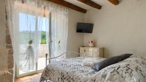 Rustic villa Zvonar with pool in Motovun