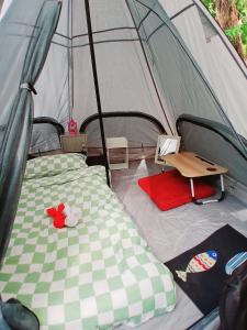 Kalaland Patong camp