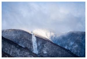 Kogawa House - 小川