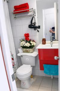 Depto Metro Cal y Canto