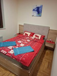 Zeleni pogled - Zlatibor